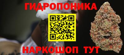 крисы Кунгур
