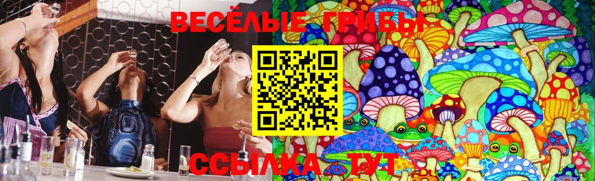 Вышний Волочёк  Псилоцибиновые грибы ЛСД  купить наркотик  Вход с VPN  Псилоцибиновые грибы прущие грибы 